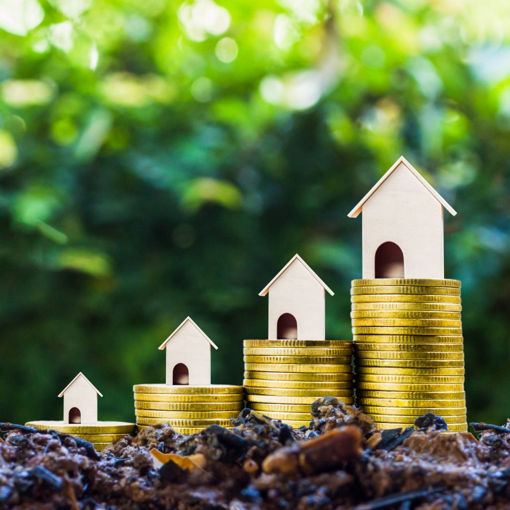 Real Estate Investment